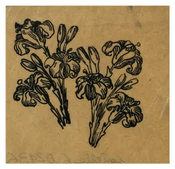 Visualizza l'immagine "FD D 2436"